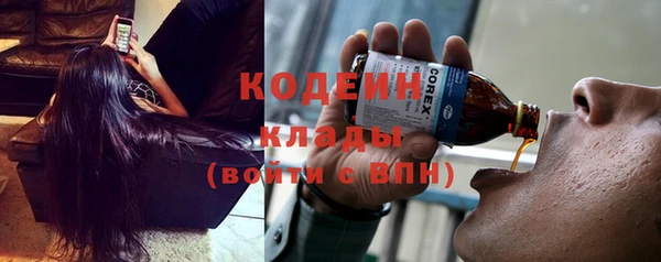 крисы Армянск
