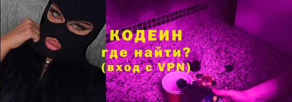 крисы Армянск