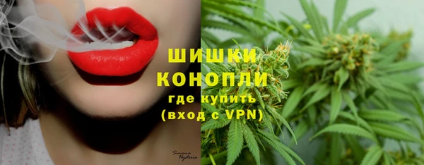 крисы Армянск