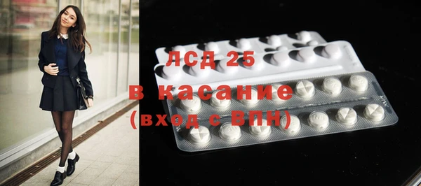индика Аркадак