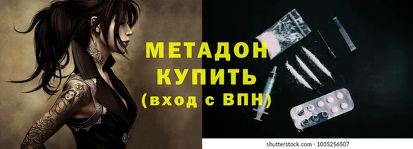 индика Аркадак