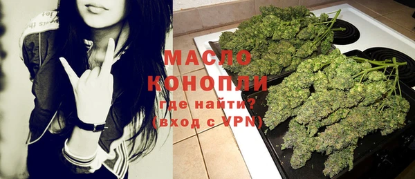 индика Аркадак