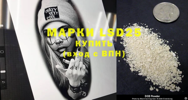 индика Аркадак