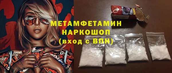 индика Аркадак