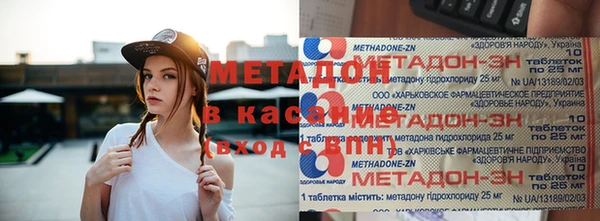 индика Аркадак