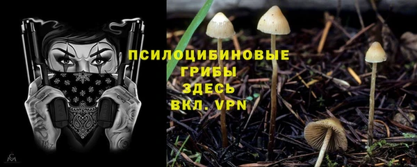 индика Аркадак