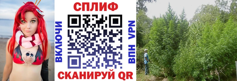 Бошки марихуана ГИДРОПОН  Верея 